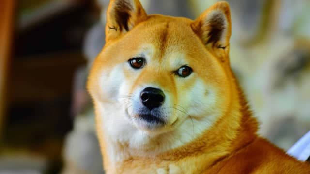 news_image